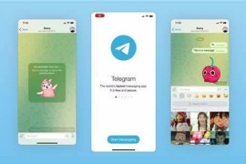 Telegram/web v12.0.1 安卓绿化版