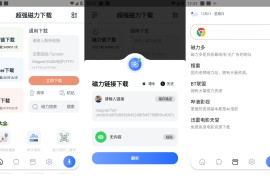 超强磁力下载 v1.5.1 安卓绿化版