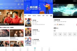 大海视频/天空视频 V4.0.1/4.0.6 安卓绿化版