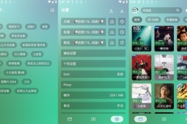 OK影视 v3.4.3/3.0.3 安卓内置源版